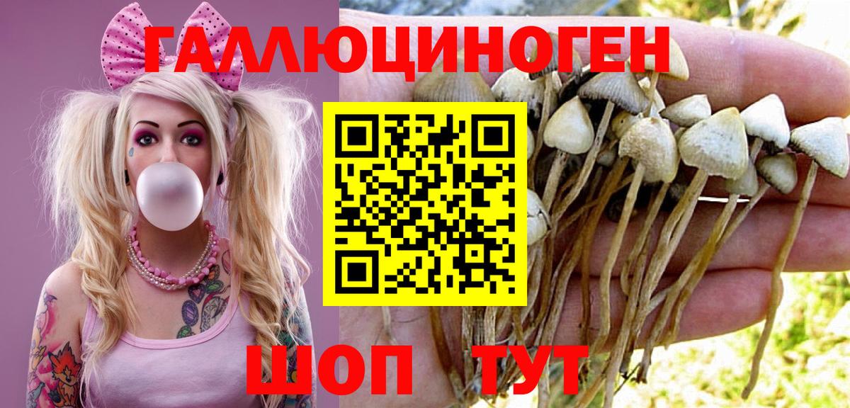 Псилоцибиновые грибы мухоморы  Вход с VPN  Зеленокумск 